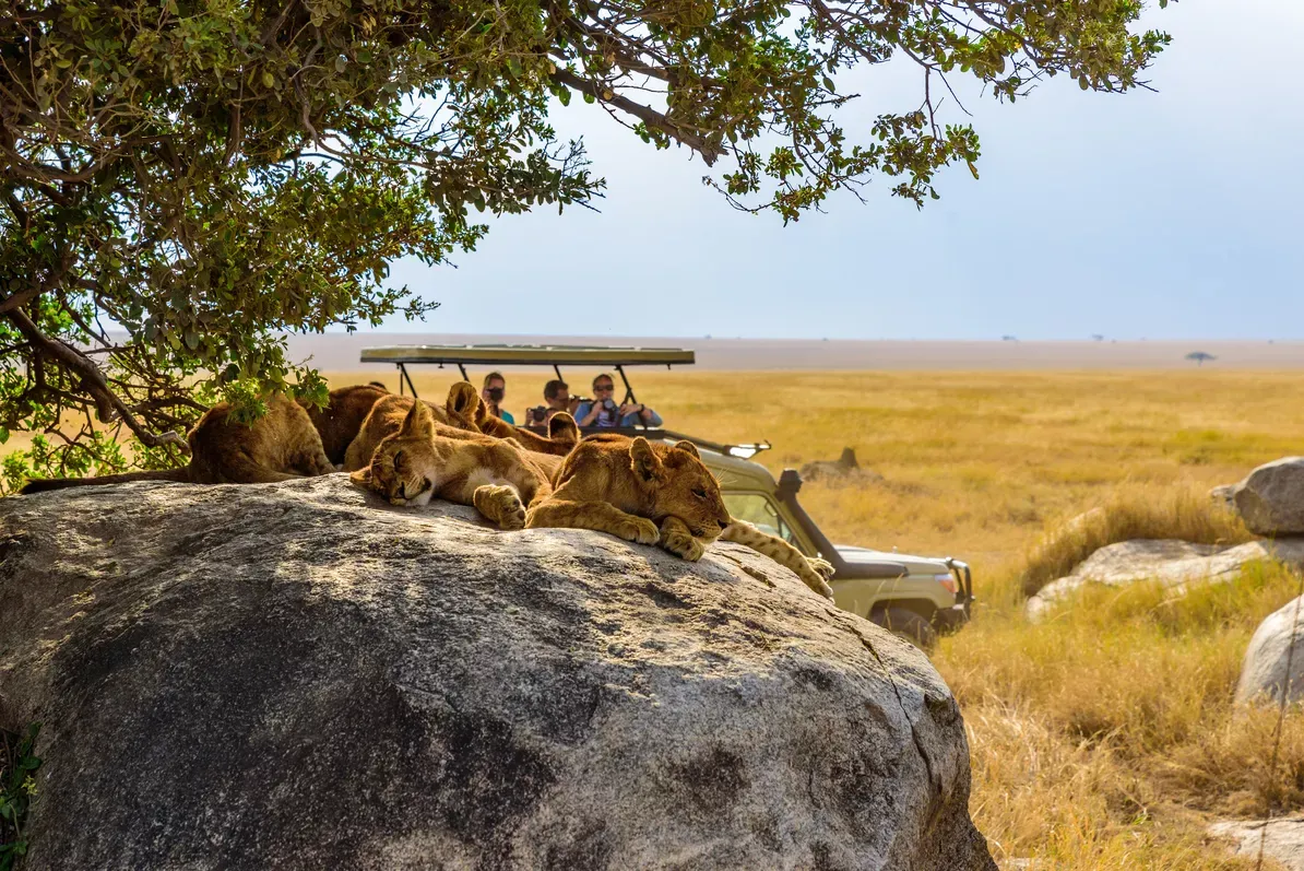Tanzanie, Maldives, Thaïlande… Comment le voyage long-courrier se recompose après la crise